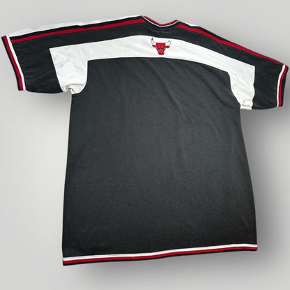 Champion Men's multi T-shirt